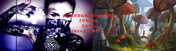 крисы Няндома