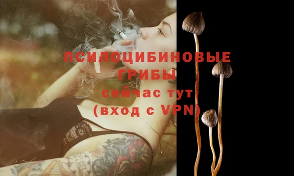 крисы Няндома