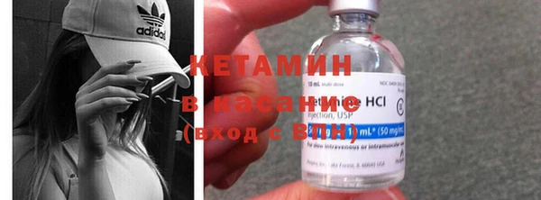 крисы Няндома