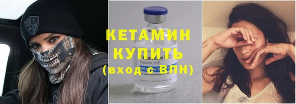 крисы Няндома