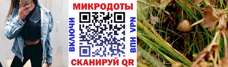 Купить закладки  Ливны  Псилоцибиновые грибы ЛСД 